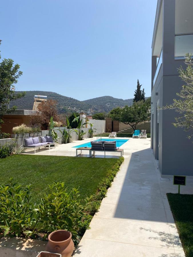 Apartament Porto Rafti Dream Complex & Retreat Zewnętrze zdjęcie